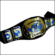 WWF Intercontinental Champion Belt